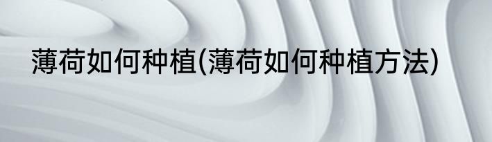 薄荷如何种植(薄荷如何种植方法)