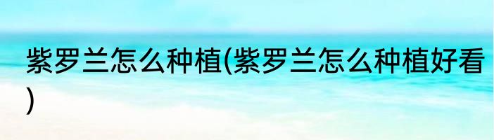 紫罗兰怎么种植(紫罗兰怎么种植好看)