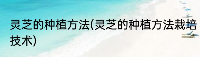 灵芝的种植方法(灵芝的种植方法栽培技术)