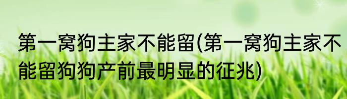 第一窝狗主家不能留(第一窝狗主家不能留狗狗产前最明显的征兆)