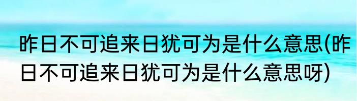 昨日不可追来日犹可为是什么意思(昨日不可追来日犹可为是什么意思呀)