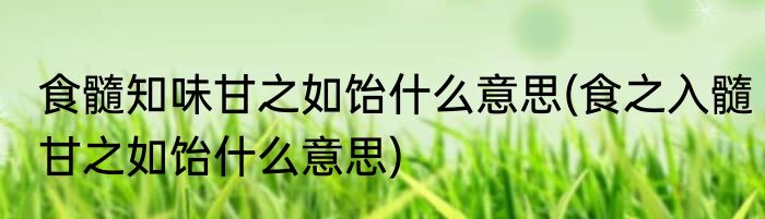 食髓知味甘之如饴什么意思(食之入髓甘之如饴什么意思)