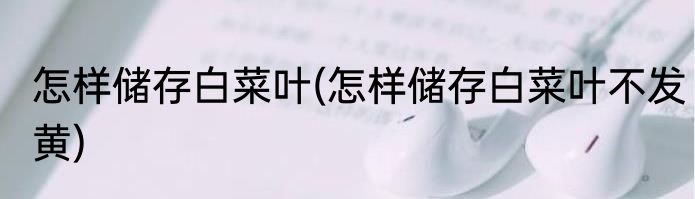 怎样储存白菜叶(怎样储存白菜叶不发黄)