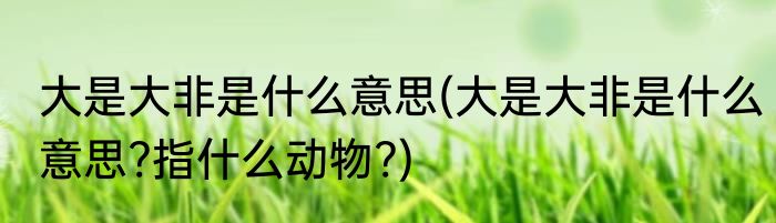 大是大非是什么意思(大是大非是什么意思?指什么动物?)