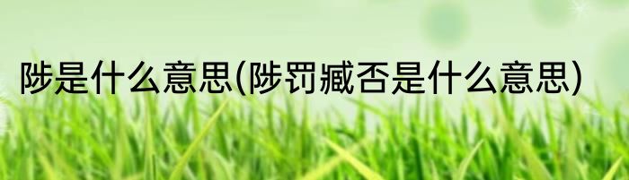 陟是什么意思(陟罚臧否是什么意思)