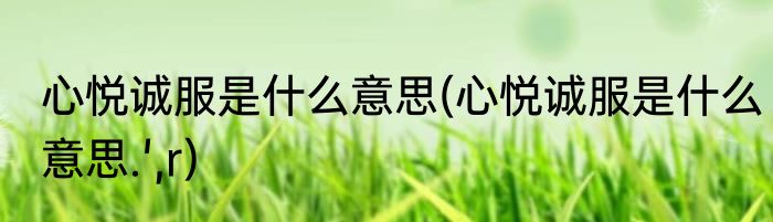 心悦诚服是什么意思(心悦诚服是什么意思.',r)