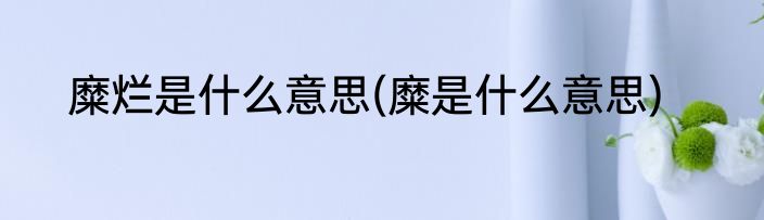 糜烂是什么意思(糜是什么意思)