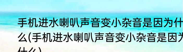 手机进水喇叭声音变小杂音是因为什么(手机进水喇叭声音变小杂音是因为什么)
