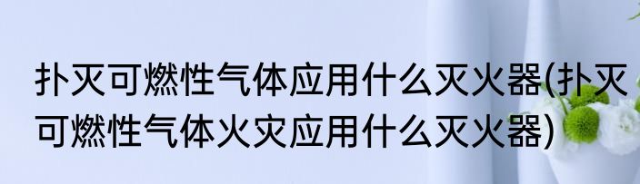 扑灭可燃性气体应用什么灭火器(扑灭可燃性气体火灾应用什么灭火器)