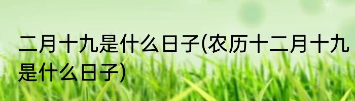 二月十九是什么日子(农历十二月十九是什么日子)
