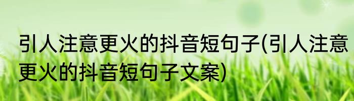 引人注意更火的抖音短句子(引人注意更火的抖音短句子文案)