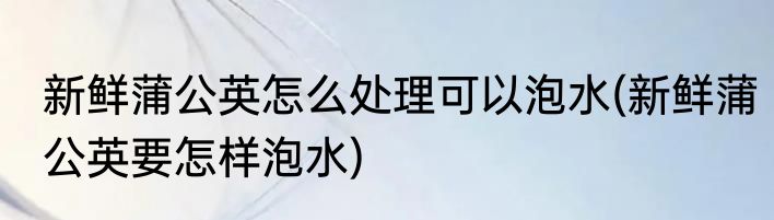 新鲜蒲公英怎么处理可以泡水(新鲜蒲公英要怎样泡水)