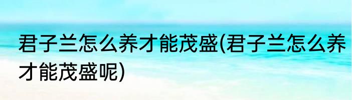 君子兰怎么养才能茂盛(君子兰怎么养才能茂盛呢)