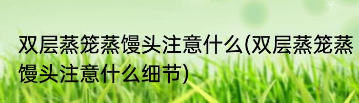 双层蒸笼蒸馒头注意什么(双层蒸笼蒸馒头注意什么细节)