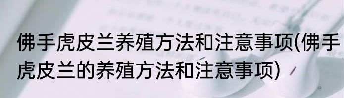 佛手虎皮兰养殖方法和注意事项(佛手虎皮兰的养殖方法和注意事项)