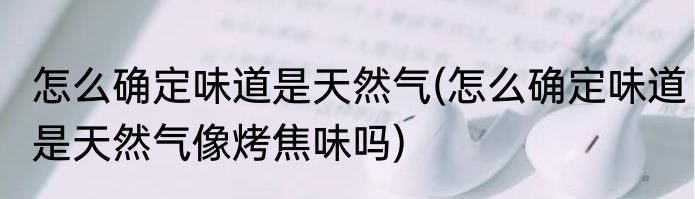 怎么确定味道是天然气(怎么确定味道是天然气像烤焦味吗)