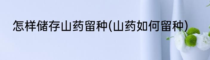 怎样储存山药留种(山药如何留种)