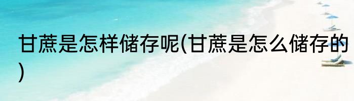 甘蔗是怎样储存呢(甘蔗是怎么储存的)