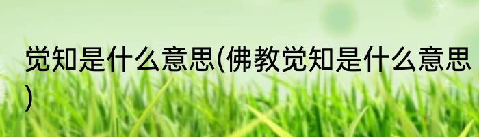 觉知是什么意思(佛教觉知是什么意思)