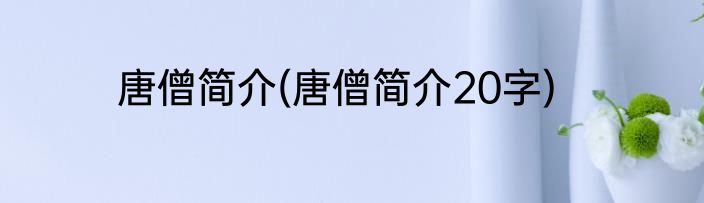 唐僧简介(唐僧简介20字)