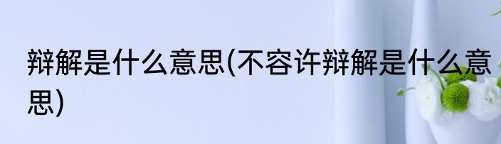 辩解是什么意思(不容许辩解是什么意思)