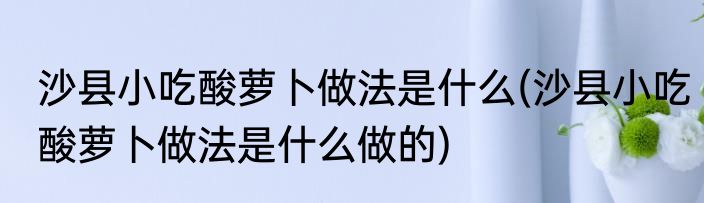 沙县小吃酸萝卜做法是什么(沙县小吃酸萝卜做法是什么做的)