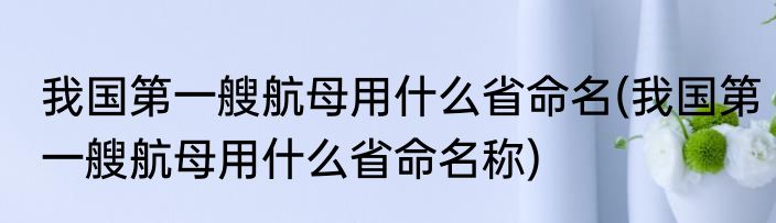 我国第一艘航母用什么省命名(我国第一艘航母用什么省命名称)