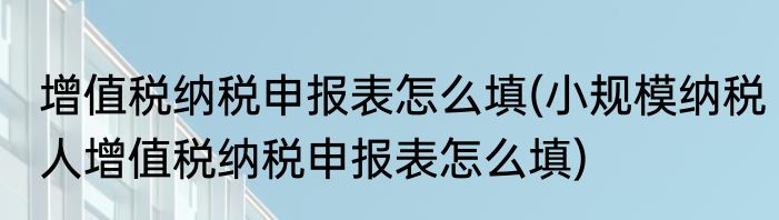 增值税纳税申报表怎么填(小规模纳税人增值税纳税申报表怎么填)
