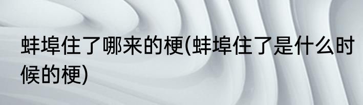 蚌埠住了哪来的梗(蚌埠住了是什么时候的梗)