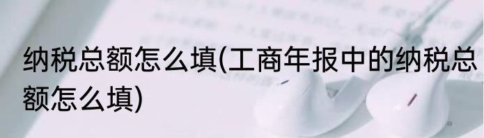 纳税总额怎么填(工商年报中的纳税总额怎么填)