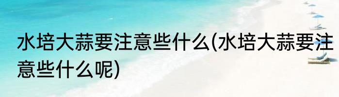 水培大蒜要注意些什么(水培大蒜要注意些什么呢)