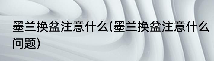 墨兰换盆注意什么(墨兰换盆注意什么问题)