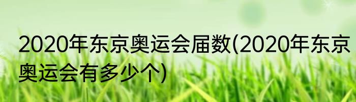 2020年东京奥运会届数(2020年东京奥运会有多少个)