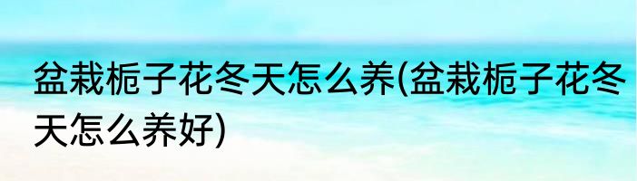 盆栽栀子花冬天怎么养(盆栽栀子花冬天怎么养好)