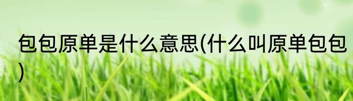 包包原单是什么意思(什么叫原单包包)