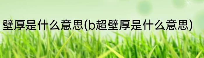 壁厚是什么意思(b超壁厚是什么意思)