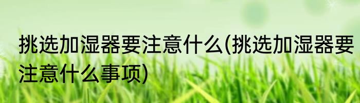 挑选加湿器要注意什么(挑选加湿器要注意什么事项)