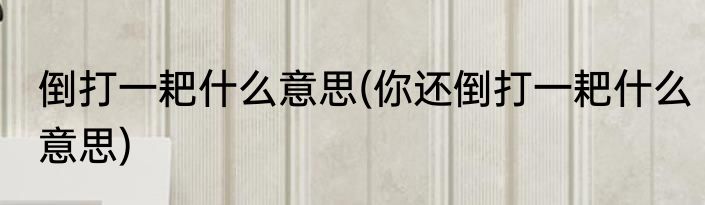 倒打一耙什么意思(你还倒打一耙什么意思)