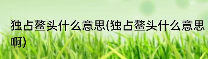 独占鳌头什么意思(独占鳌头什么意思啊)