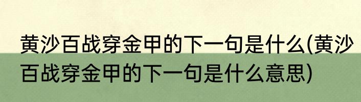 黄沙百战穿金甲的下一句是什么(黄沙百战穿金甲的下一句是什么意思)