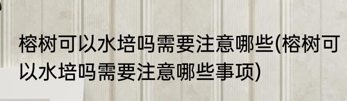 榕树可以水培吗需要注意哪些(榕树可以水培吗需要注意哪些事项)