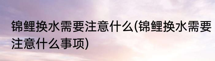 锦鲤换水需要注意什么(锦鲤换水需要注意什么事项)
