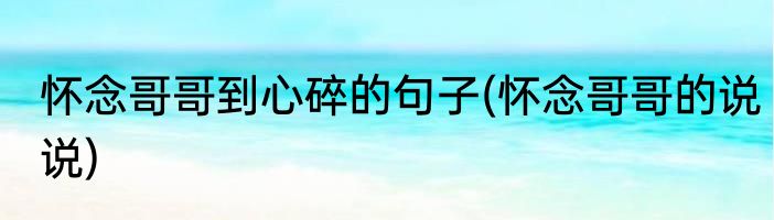 怀念哥哥到心碎的句子(怀念哥哥的说说)