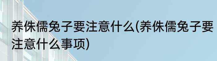 养侏儒兔子要注意什么(养侏儒兔子要注意什么事项)