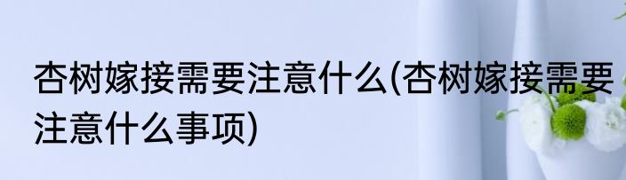 杏树嫁接需要注意什么(杏树嫁接需要注意什么事项)