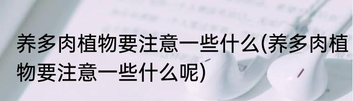 养多肉植物要注意一些什么(养多肉植物要注意一些什么呢)