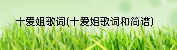 十爱姐歌词(十爱姐歌词和简谱)