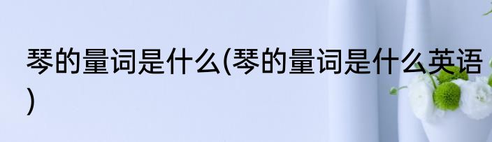 琴的量词是什么(琴的量词是什么英语)