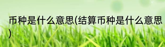 币种是什么意思(结算币种是什么意思)