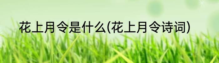 花上月令是什么(花上月令诗词)